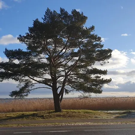 Dwa Pearl Z Prywatna Sauna Lub Tarasem Na Dachu شقة