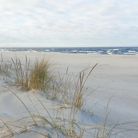 Dwa Pearl Z Prywatna Sauna Lub Tarasem Na Dachu 아파트 로고보