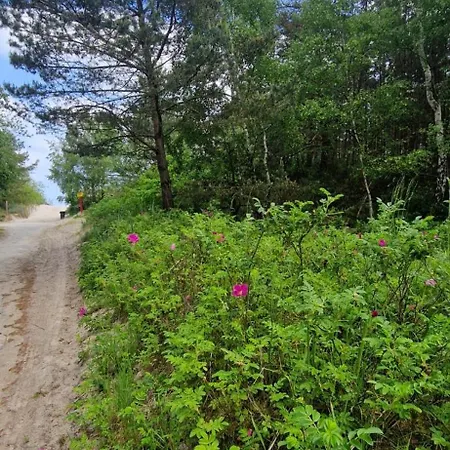 Apartmán Dwa Pearl Z Prywatna Sauna Lub Tarasem Na Dachu *