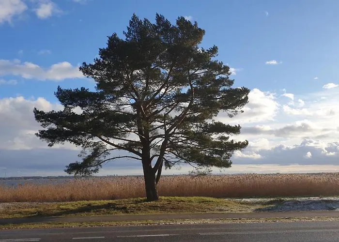 Dwa Pearl Z Prywatna Sauna Lub Tarasem Na Dachu アパート