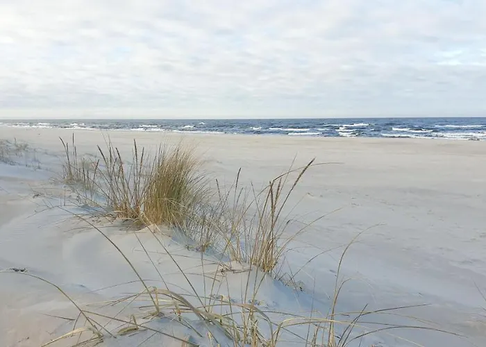 Dwa Pearl Z Prywatna Sauna Lub Tarasem Na Dachu アパート ロゴボ