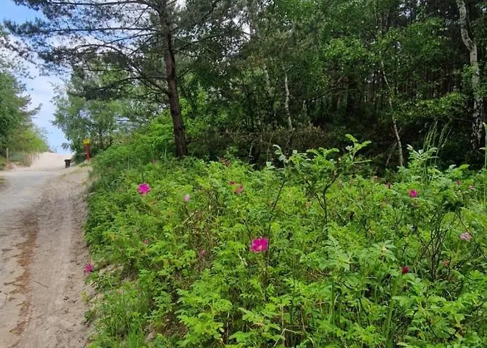 アパート Dwa Pearl Z Prywatna Sauna Lub Tarasem Na Dachu *